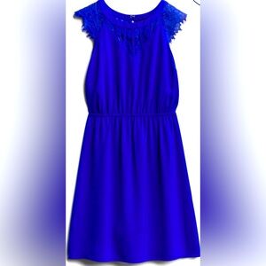 41 Hawthorn Lace Dress